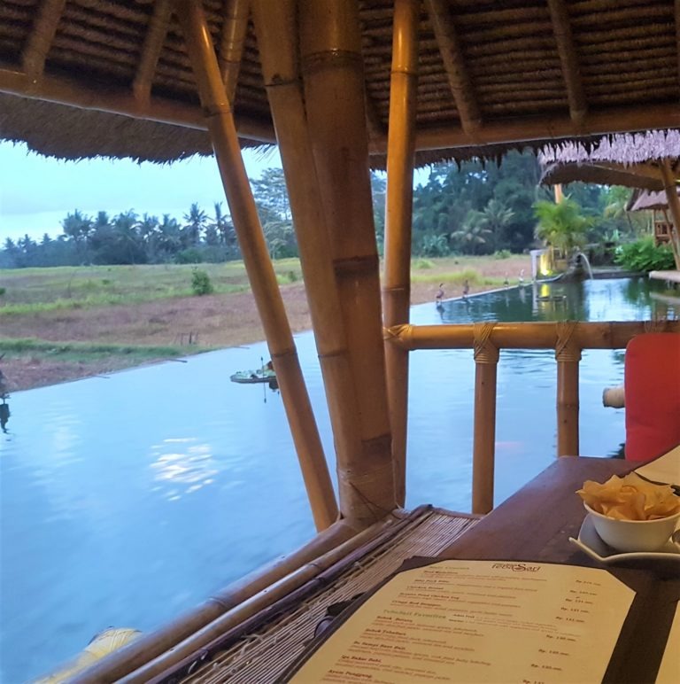 Best Restaurants in Ubud
